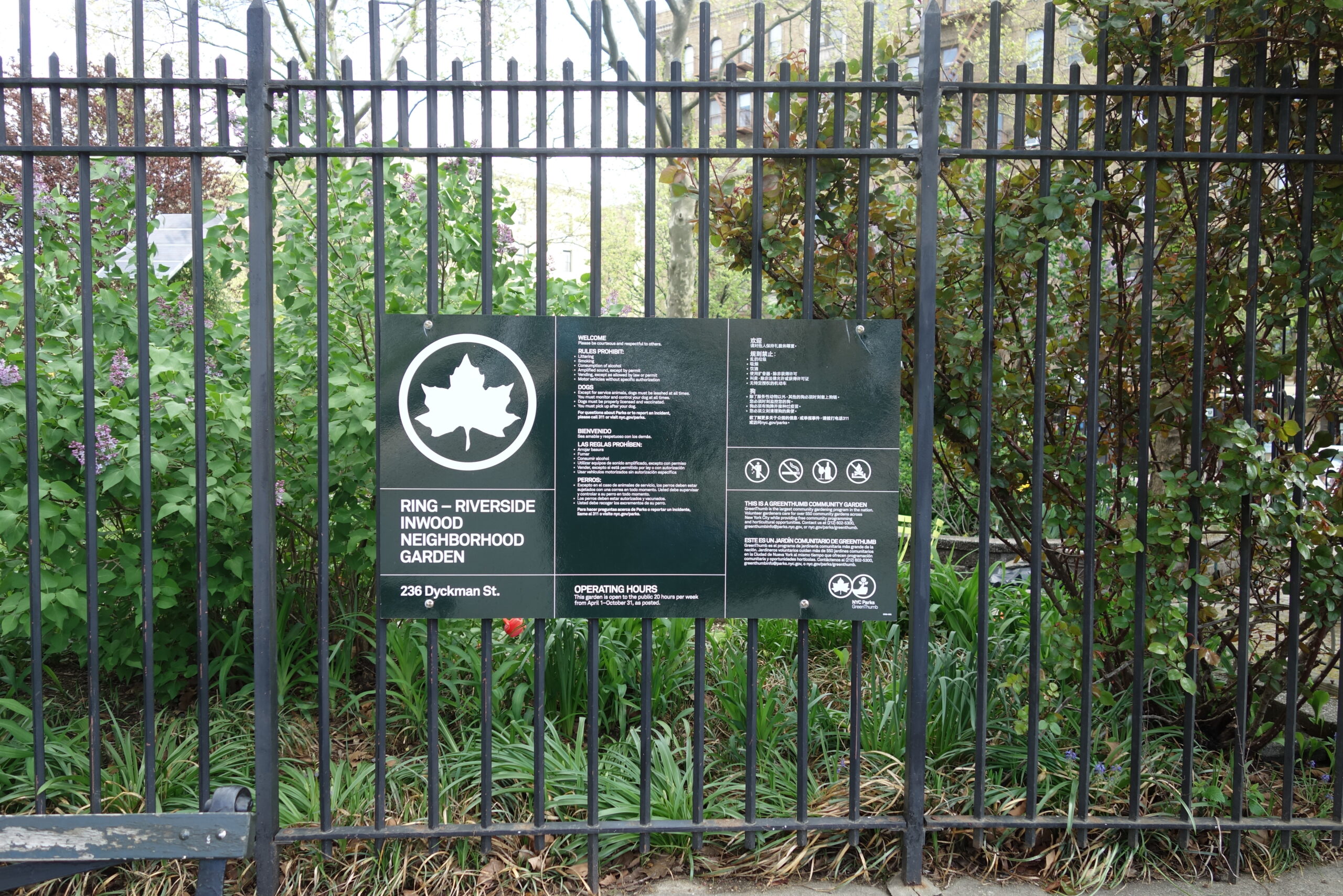 Jardín comunitario en Nueva York