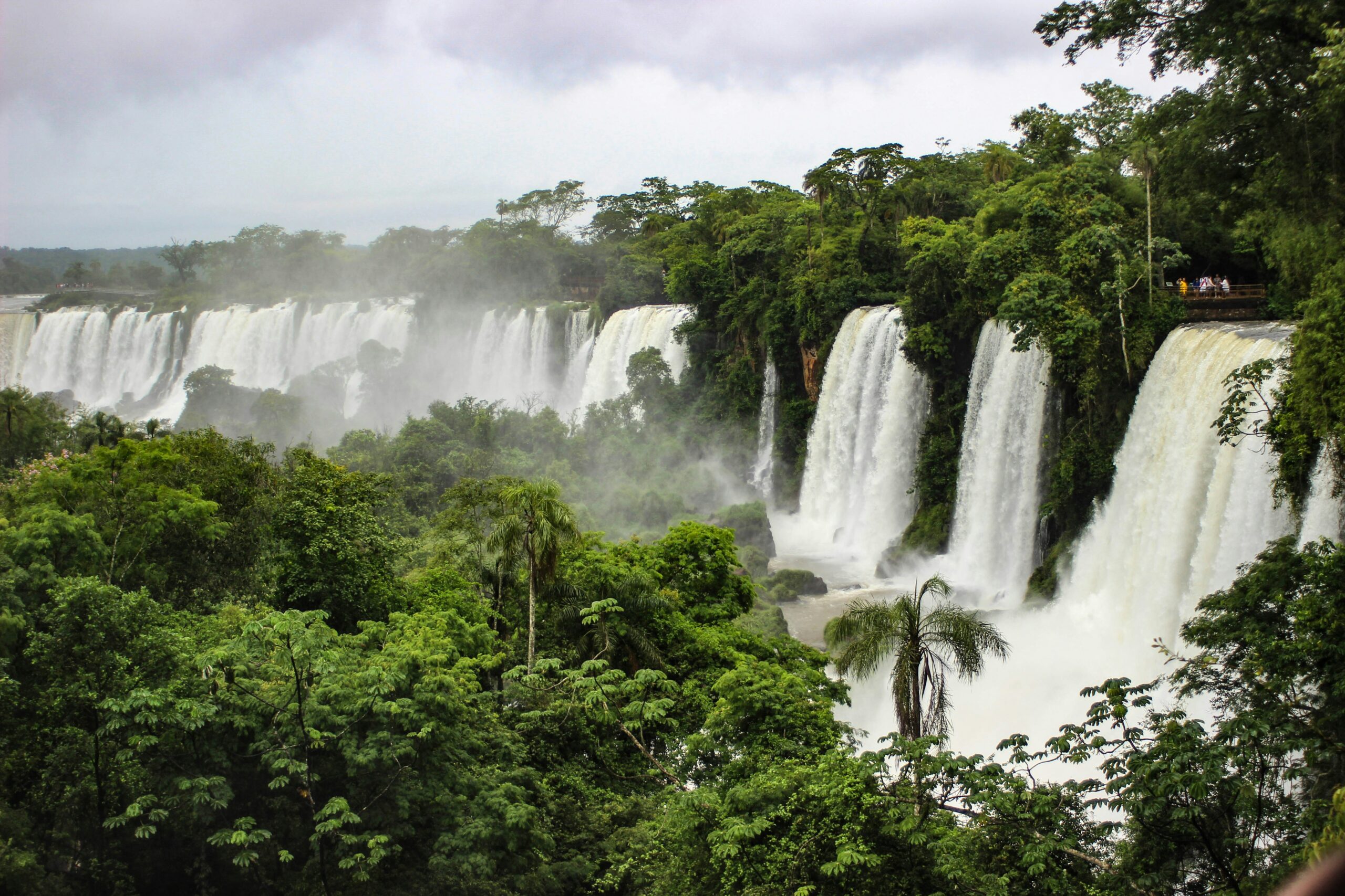 Cataratas del Iguazú entre la selva misionera