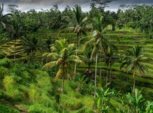 Luna de miel Bali y Maldivas