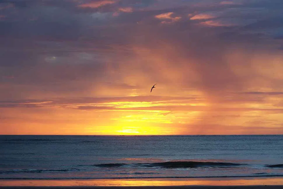 costa rica guanacaste