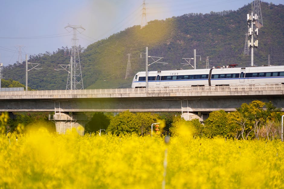 Tren de alta velocidad recorriendo el paisaje chino hacia Shanghái
