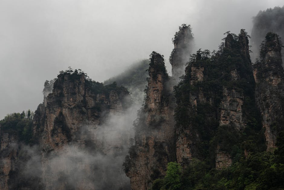 Arroyo del Látigo Dorado en el Parque Nacional de Zhangjiajie
