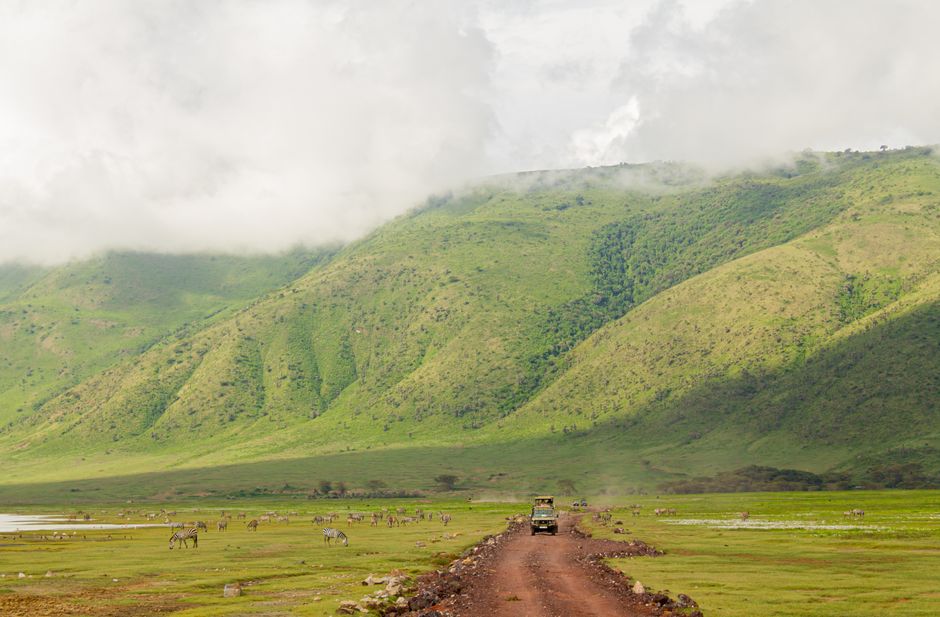 Cráter del Ngorongoro, Tanzania