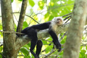 Qué ver en Costa Rica: rutas, presupuesto y mejor época