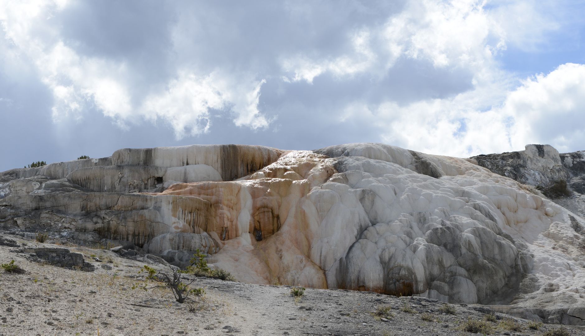 Terrazas de travertino en Mammoth Hot Springs