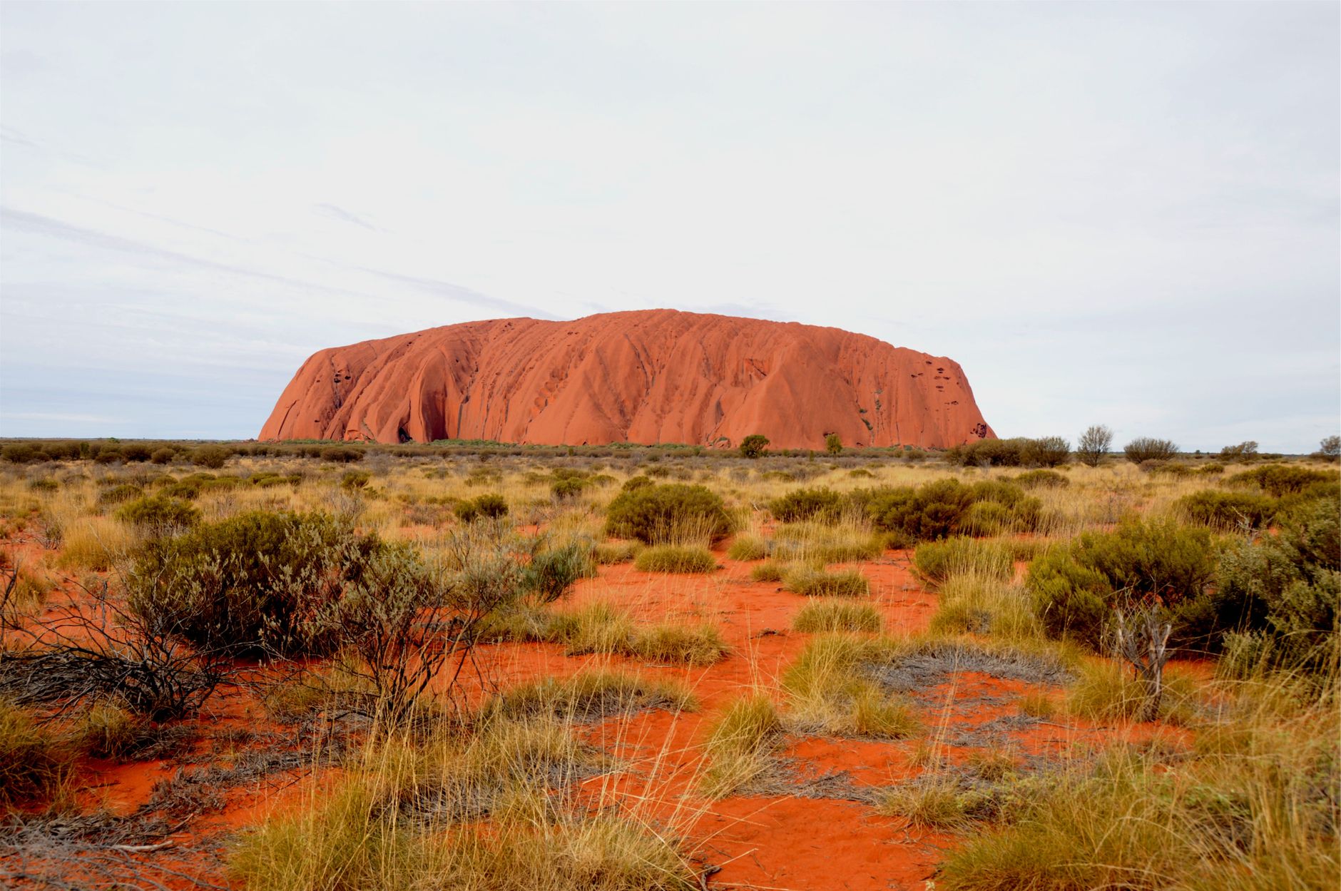 Tour del atardecer frente a Uluru